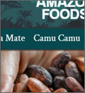 example of website design 10