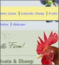 example of website design 9