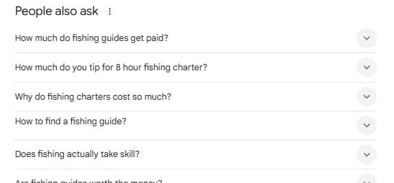 screenshot google people also ask for demo site