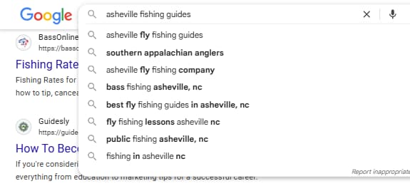screenshot google suggested searches for demo site