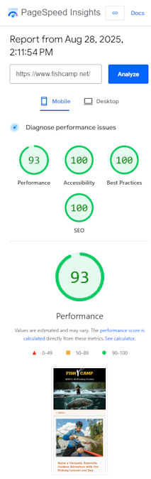 screenshot of page speed insights for csm site