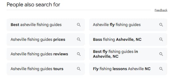 screenshot google related searches for demo site