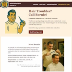 screenshot of optimized small business webpage