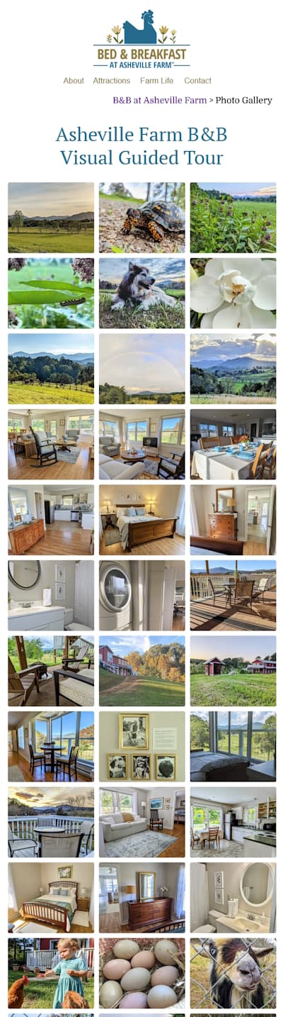 traditional online photo gallery